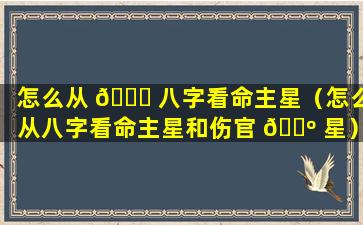 怎么从 🐝 八字看命主星（怎么从八字看命主星和伤官 🌺 星）